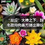 “双反”大棒之下，越南政府向美方提出异议