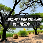 印度对华炭黑发起反倾销日落复审（图4）