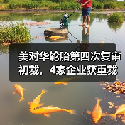 美对华轮胎第四次复审初裁，4家企业获重裁（图4）