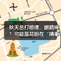 秋天总打喷嚏、眼睛痒？可能是花粉在“搞事” 来源：互联网 2025-09-09