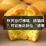 秋天总打喷嚏、眼睛痒?可能是花粉在“搞事” 来源:互联网 2025-09-09(图2) 秋天总打喷嚏、眼睛痒?可能是花粉在“搞事” 来源:互联网 2025-09-09(图2)