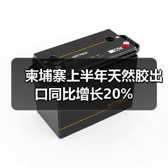 柬埔寨上半年天然胶出口同比增长20%（图2）