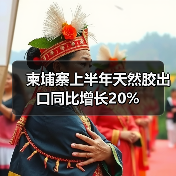 柬埔寨上半年天然胶出口同比增长20%（图3）