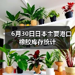 6月30日日本主要港口橡胶库存统计（图3）
