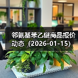 邻氨基苯乙醚商品报价动态（2026-01-15） 来源：互联网 2026-01-19（图2）