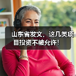 山东省发文，这几类项目投资不被允许！（图2）