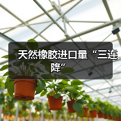 天然橡胶进口量“三连降”（图4）