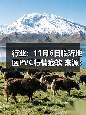 行业：11月6日临沂地区PVC行情疲软 来源：互联网 2025-11-06（图2）