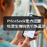 PriceSeek重点提醒:牧原生猪销售价跌量增 来源:互联网 2025-11-06(图4) PriceSeek重点提醒:牧原生猪销售价跌量增 来源:互联网 2025-11-06(图4)
