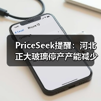 PriceSeek提醒：河北正大玻璃停产产能减少 来源：互联网 2025-11-06（图4）