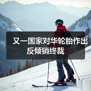 又一国家对华轮胎作出反倾销终裁（图4）