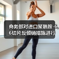 商务部对进口聚酰胺-6,6切片反倾销措施进行复审调查