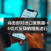商务部对进口聚酰胺-6,6切片反倾销措施进行复审调查（图2）