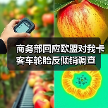 商务部回应欧盟对我卡客车轮胎反倾销调查（图4）