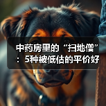 中药房里的“扫地僧”:5种被低估的平价好药 来源:互联网 2025-09-09(图2) 中药房里的“扫地僧”:5种被低估的平价好药 来源:互联网 2025-09-09(图2)