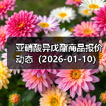 亚硝酸异戊酯商品报价动态（2026-01-10） 来源：互联网 2026-01-19（图3）