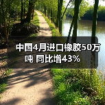 中国4月进口橡胶50万吨 同比增43%