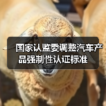 国家认监委调整汽车产品强制性认证标准（图2）