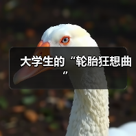 大学生的“轮胎狂想曲”（图4）