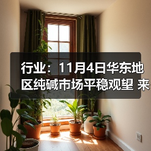 行业：11月4日华东地区纯碱市场平稳观望 来源：互联网 2025-11-08