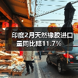 印度2月天然橡胶进口量同比降11.7%（图3）