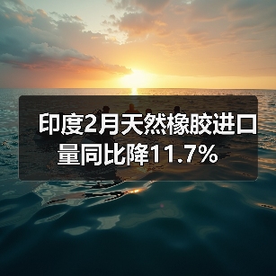印度2月天然橡胶进口量同比降11.7%（图2）
