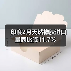 印度2月天然橡胶进口量同比降11.7%