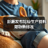 新疆发布轮胎生产能耗限额新标准（图4）
