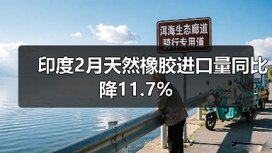 印度2月天然橡胶进口量同比降11.7%（图4）