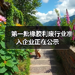 第一批橡胶利废行业准入企业正在公示（图3）