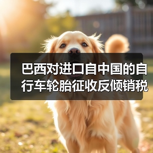 巴西对进口自中国的自行车轮胎征收反倾销税（图2）
