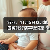 行业：11月5日华北地区纯碱行情平稳观望 来源：互联网 2025-11-08