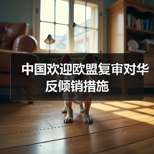 中国欢迎欧盟复审对华反倾销措施（图3）