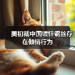 美初裁中国镀锌钢丝存在倾销行为