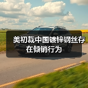 美初裁中国镀锌钢丝存在倾销行为（图4）