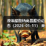 液体醋酸钠商品报价动态(2026-01-11) 来源:互联网 2026-01-19(图4) 液体醋酸钠商品报价动态(2026-01-11) 来源:互联网 2026-01-19(图4)